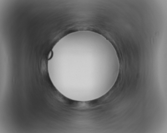 X0000114110335200910051244