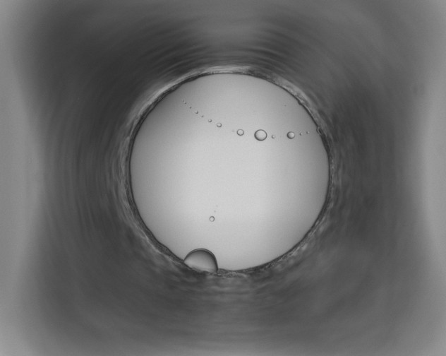 X0000114110337200910051243