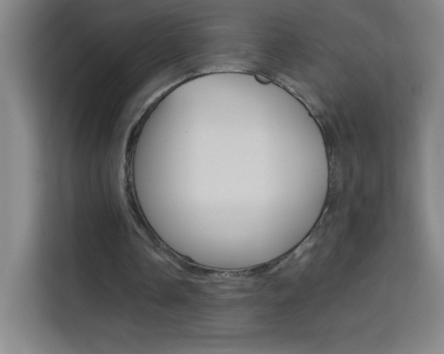 X0000114110338200910051243