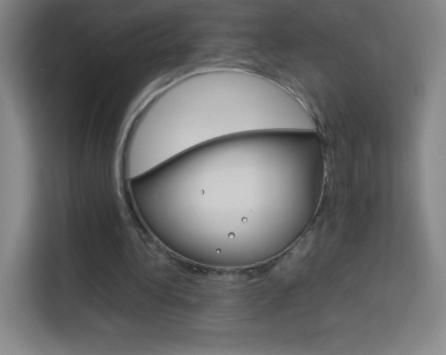 X0000114110340200910051243