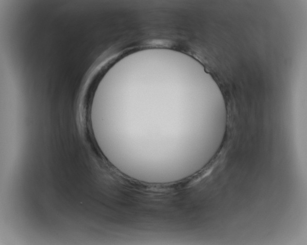 X0000114110343200910051243
