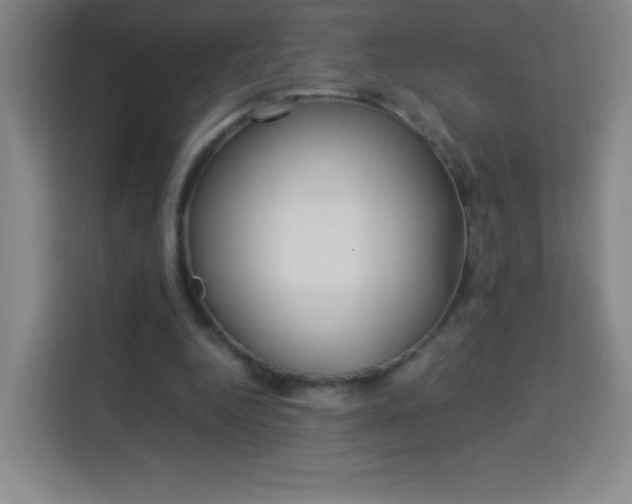 X0000114110344200910051243