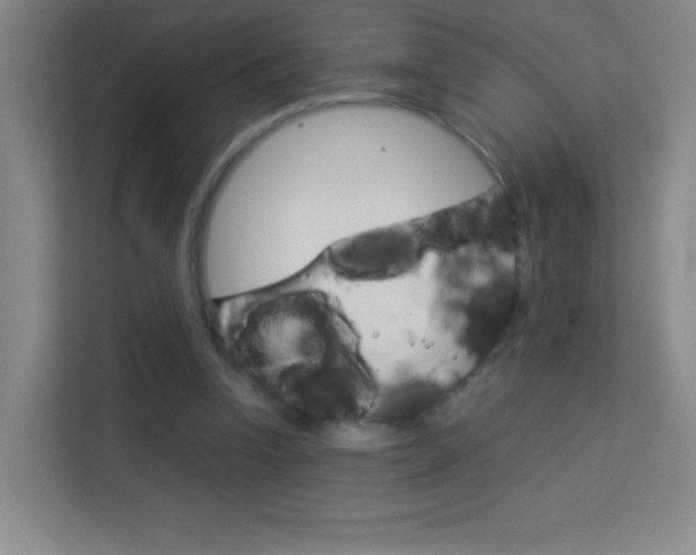 X0000114110346200910051243