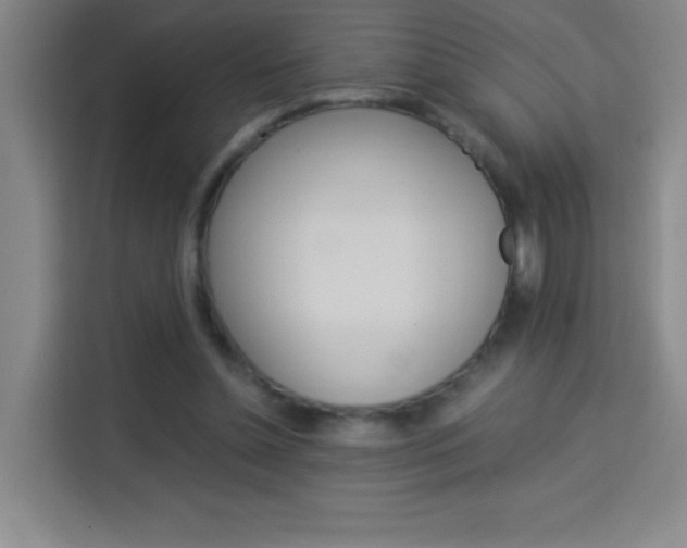 X0000114110348200910051243
