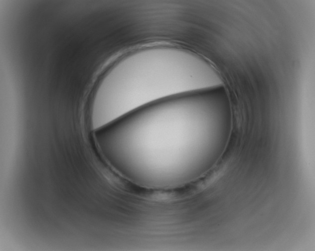 X0000114110350200910051243