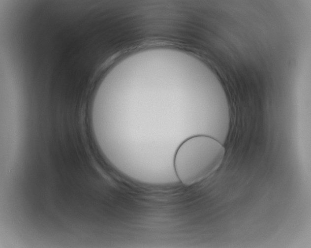 X0000114110352200910051243