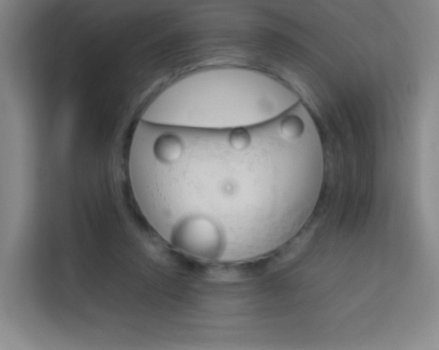 X0000114110354200910051243