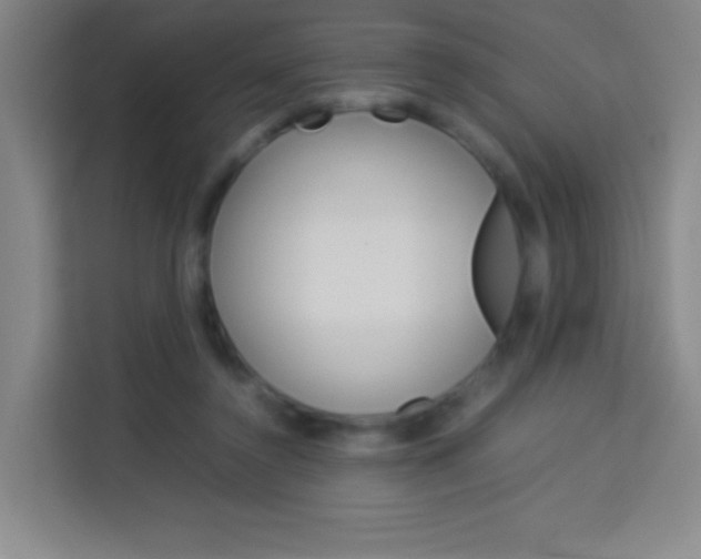 X0000114110356200910051243