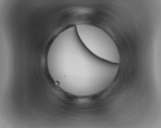 X0000114110357200910051243