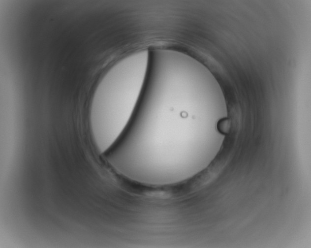 X0000114110358200910051243