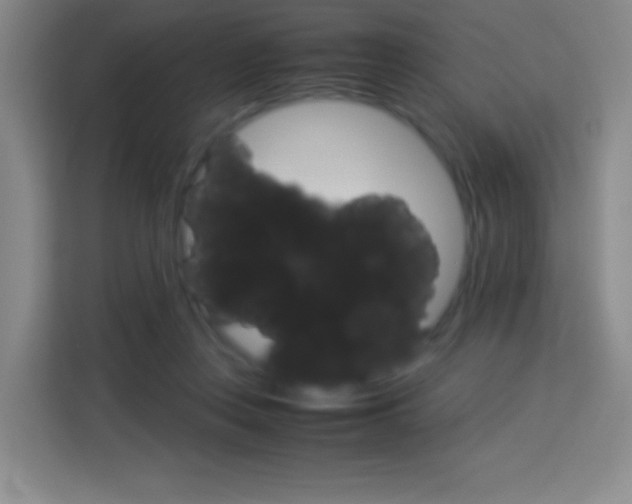 X0000114110359200910051243