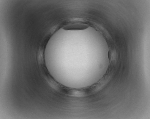 X0000114110360200910051243