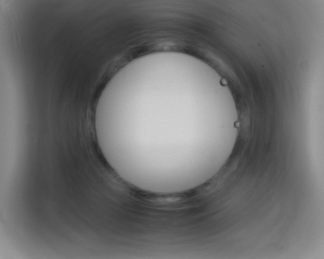 X0000114110361200910051243