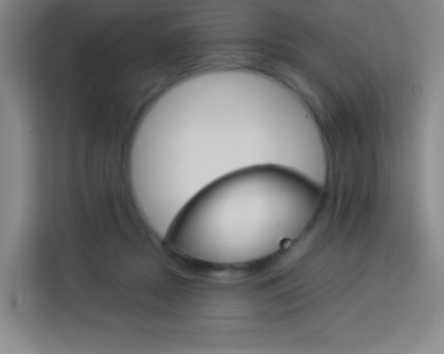 X0000114110362200910051243