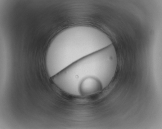 X0000114110366200910051243
