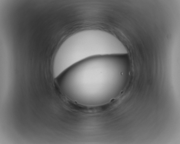X0000114110368200910051243