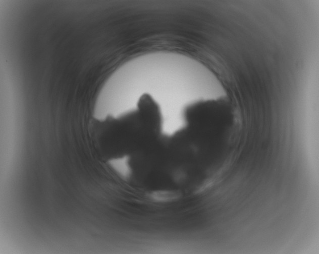 X0000114110371200910051243
