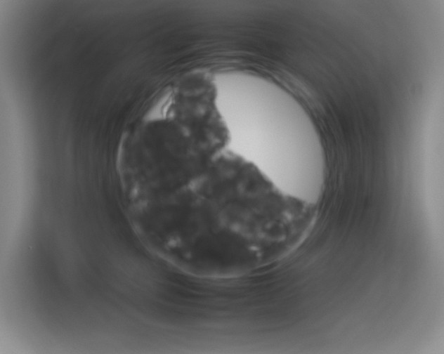 X0000114110373200910051243