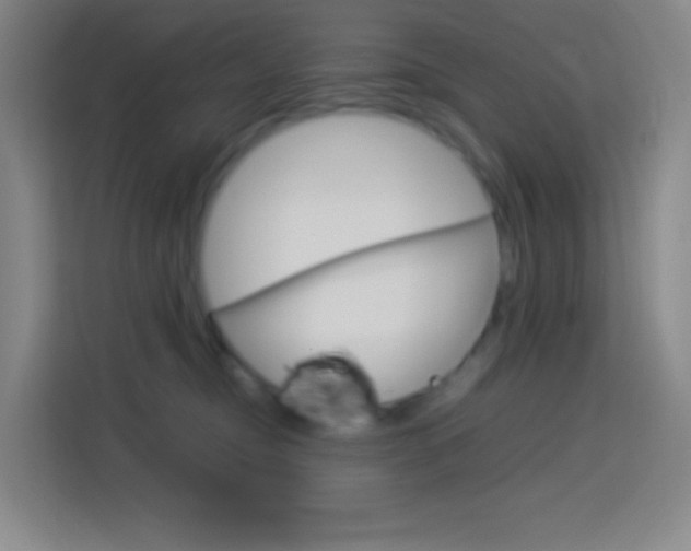 X0000114110374200910051243