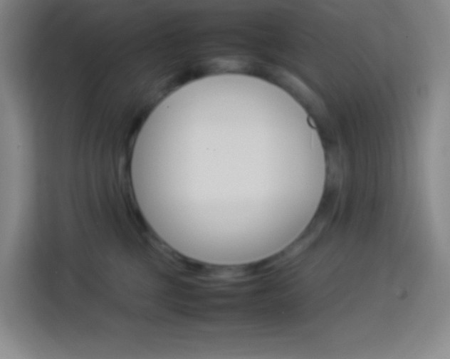 X0000114110377200910051243