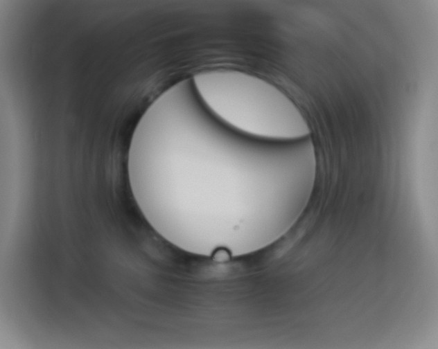 X0000114110379200910051243