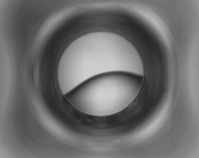X0000114110382200910051244