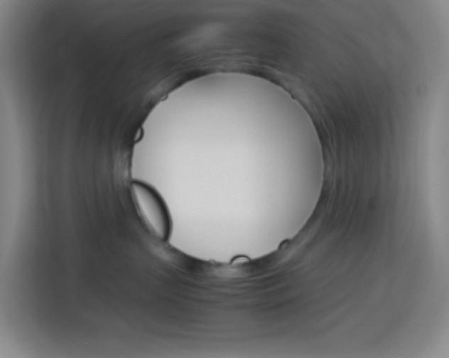 X0000114110383200910051244
