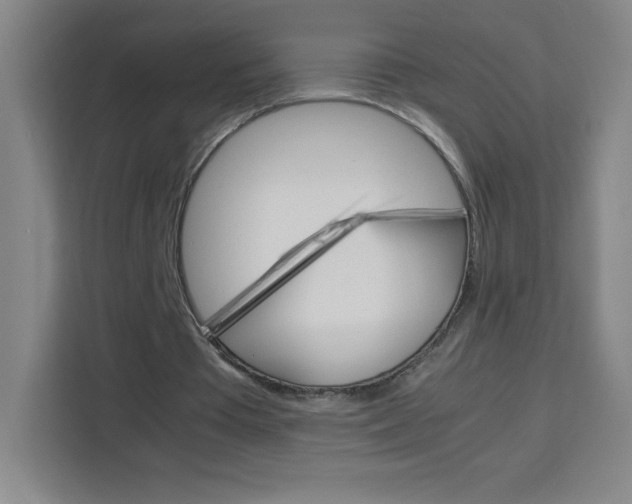 X0000114110385200910051243