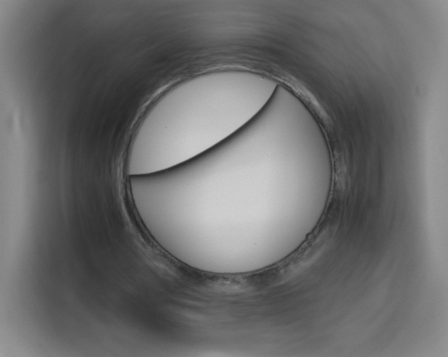 X0000114110386200910051243