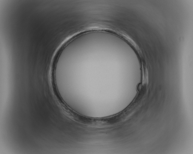 X0000114110387200910051243
