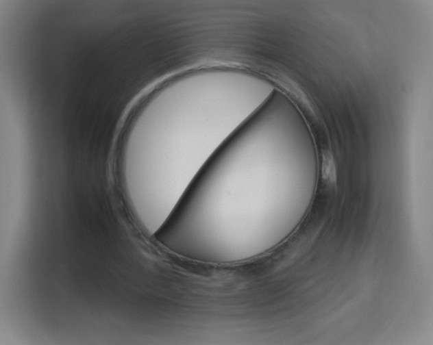 X0000114110388200910051243