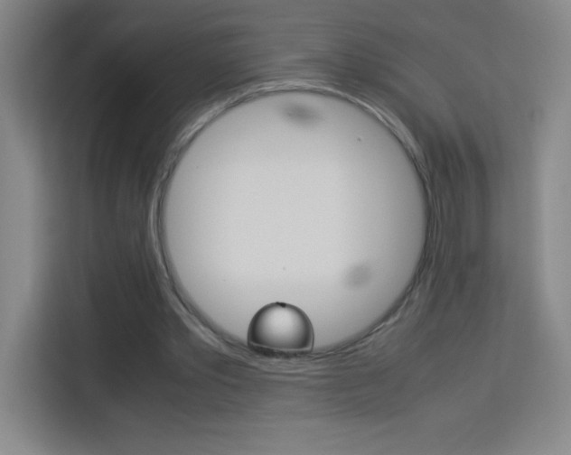 X0000114110389200910051243