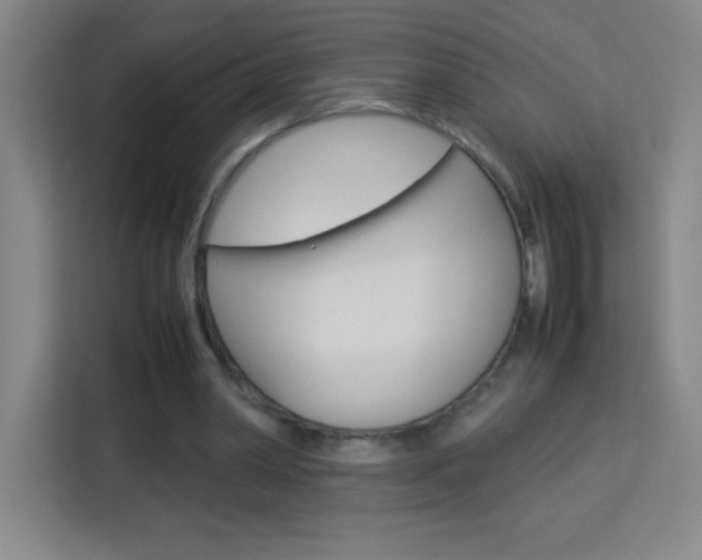 X0000114110390200910051243