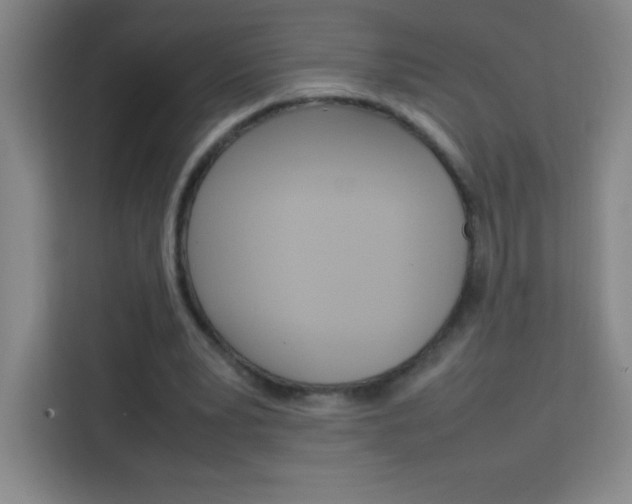 X0000114110391200910051243