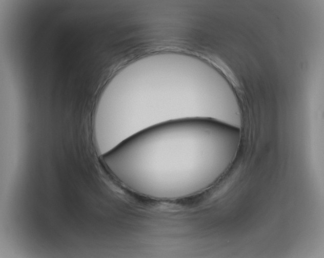 X0000114110393200910051243