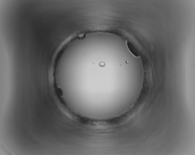 X0000114110395200910051243