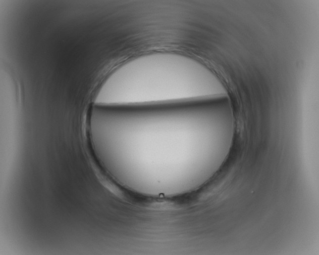 X0000114110397200910051243