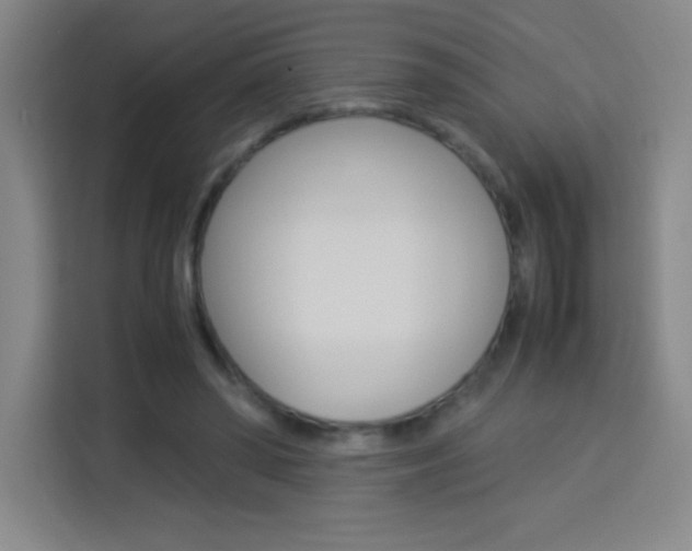 X0000114110398200910051243