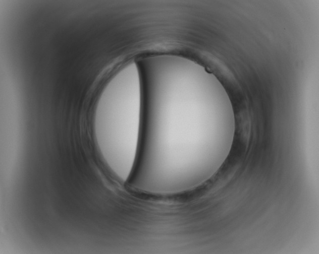 X0000114110400200910051243