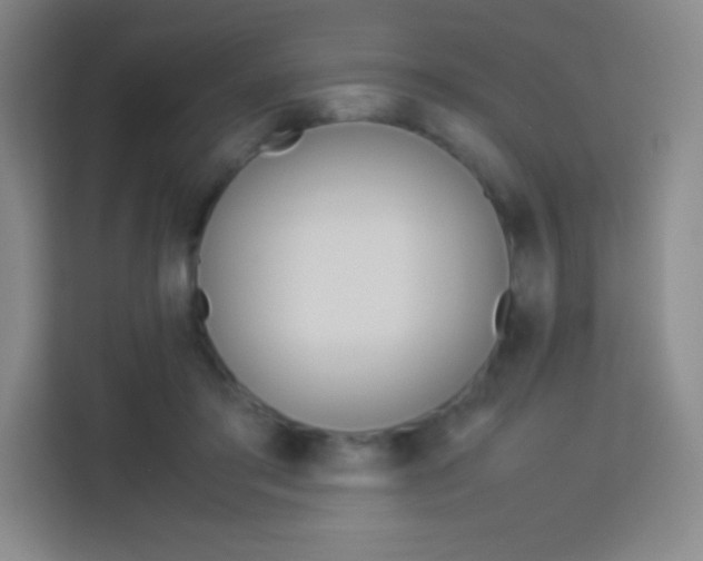 X0000114110405200910051243