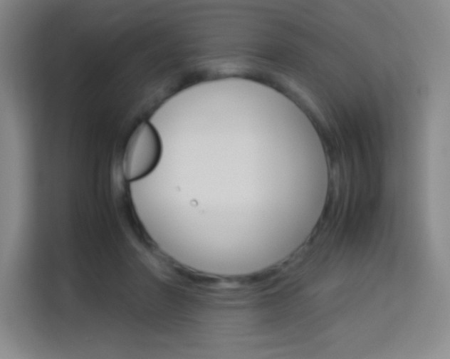 X0000114110406200910051243