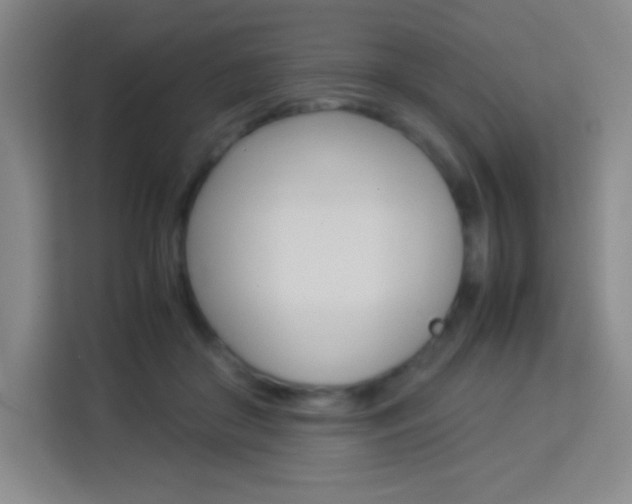 X0000114110410200910051243