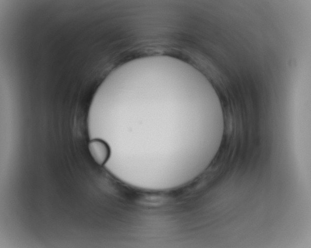 X0000114110414200910051243