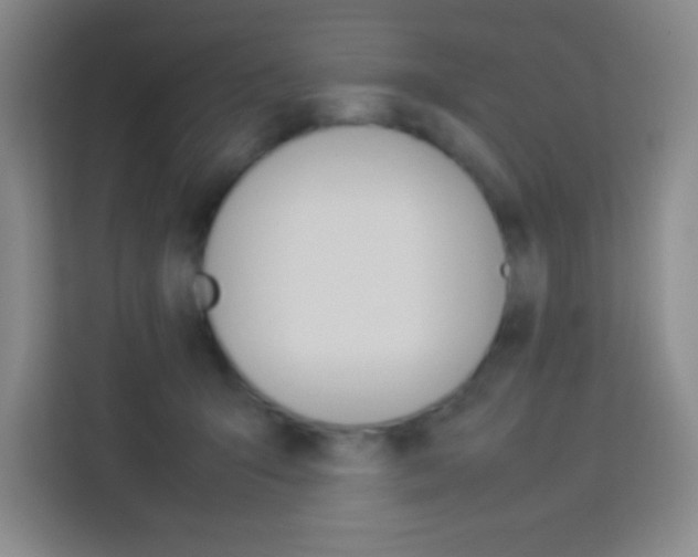 X0000114110415200910051243