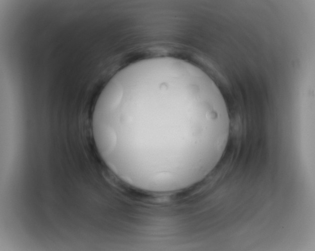 X0000114110418200910051243