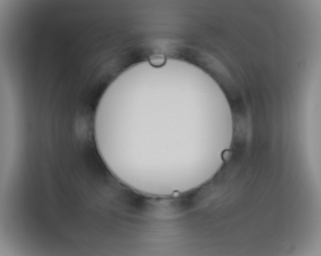 X0000114110419200910051242