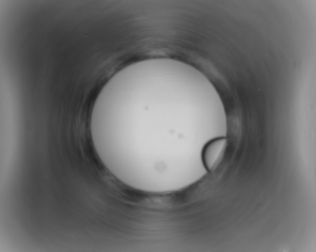 X0000114110422200910051242