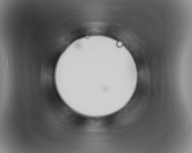 X0000114110423200910051242