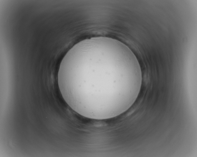 X0000114110424200910051242