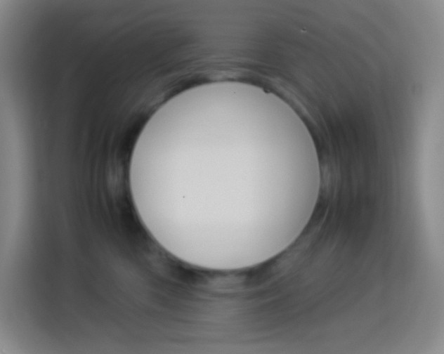 X0000114110426200910051242